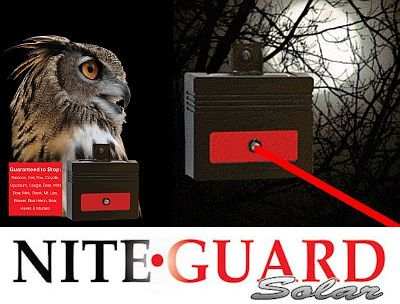 Nite Guard Solar-Powered Night Predator Protector