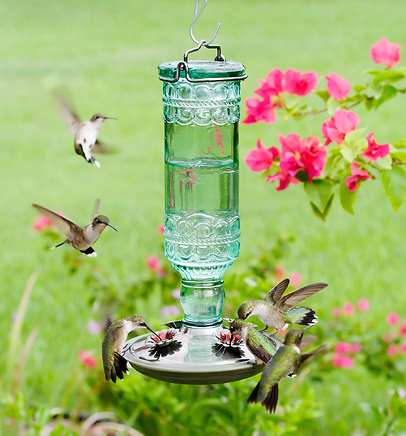 Antique Glass Bottle Hummingbird Feeder