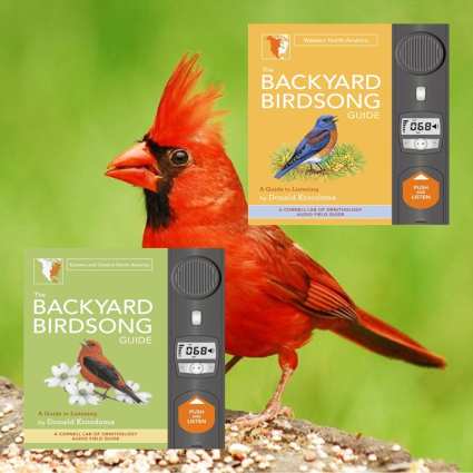 Backyard Birdsong Guide North America 2 Vol. Set