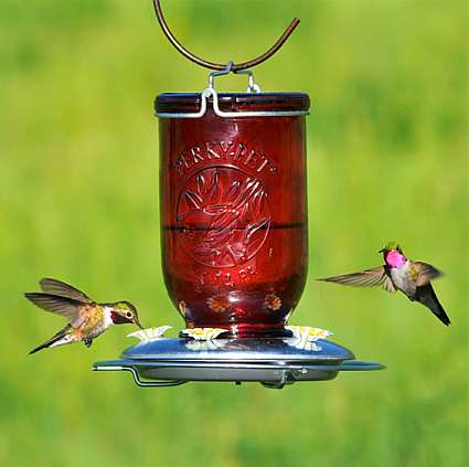 Antique Red Glass Mason Jar Hummingbird Feeder