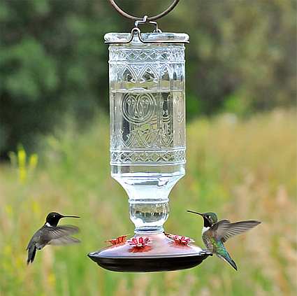 Elegant Antique Glass Hummingbird Feeder Clear