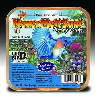 Never Melt Suet Berry Cake 6 Pack