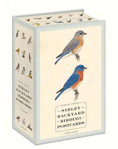 Sibley Backyard Birding 100 Post Cards