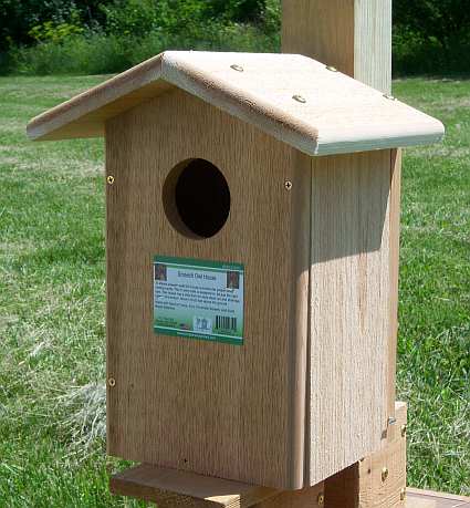 Songbird Cedar Screech Owl House