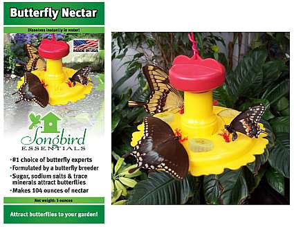 Songbird Butterfly Feeder & 5oz Nectar Combo