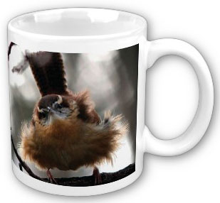 I Don't Do Mornings 15 oz. Coffee Mug Set of 2
