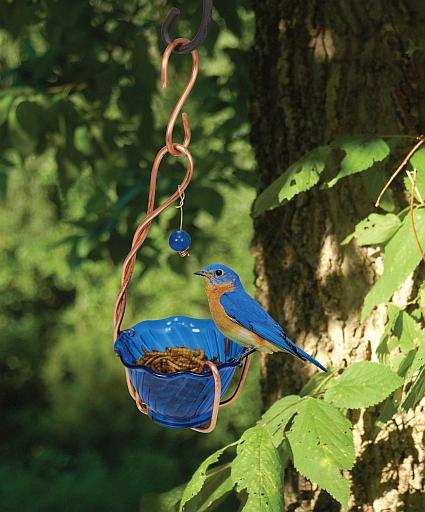 Copper Hanging Bluebird Mealworm Feeder