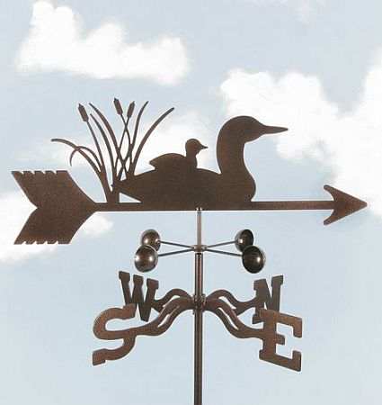 EZ Loon With Baby Weathervane Package