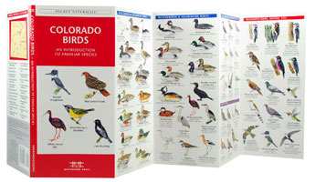 Colorado Birds Pocket Naturalist Guide