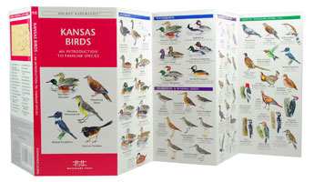 Kansas Birds Pocket Naturalist Guide