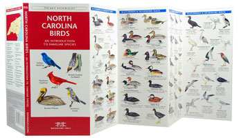 North Carolina Birds Pocket Naturalist Guide