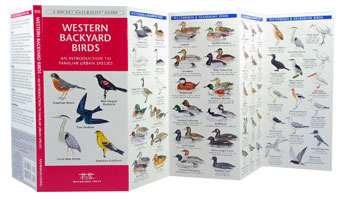 Western Backyard Birds Pocket Naturalist Guide
