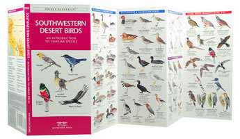 Southwestern Desert Birds Pocket Naturalist Guide