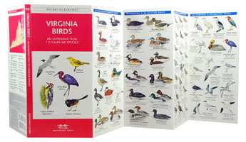 Virginia Birds Pocket Naturalist Guide