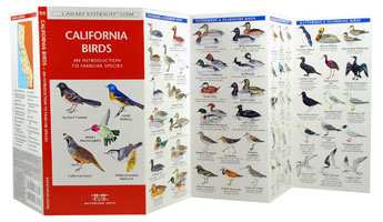 California Birds Pocket Naturalist Guide