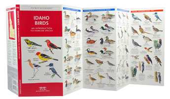 Idaho Birds Pocket Naturalist Guide