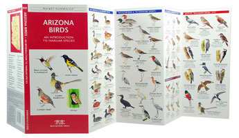 Arizona Birds Pocket Naturalist Guide