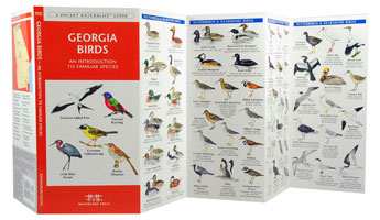 Georgia Birds Pocket Naturalist Guide