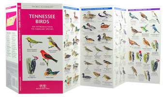 Tennessee Birds Pocket Naturalist Guide