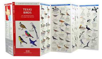 Texas Birds Pocket Naturalist Guide