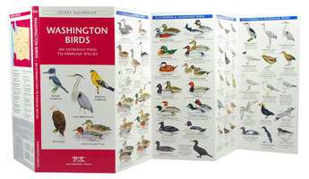 Washington State Birds Pocket Naturalist Guide