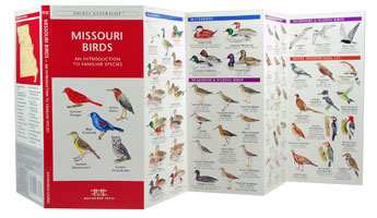 Missouri Birds Pocket Naturalist Guide