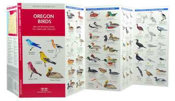 Oregon Birds Pocket Naturalist Guide