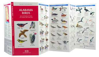 Alabama Birds Pocket Naturalist Guide