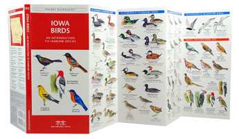 Iowa Birds Pocket Naturalist Guide