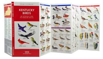 Kentucky Birds Pocket Naturalist Guide