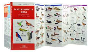 Massachusetts Birds Pocket Naturalist Guide