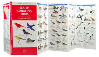 South Carolina Birds Pocket Naturalist Guide