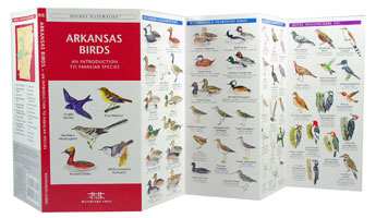 Arkansas Birds Pocket Naturalist Guide