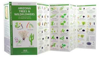 Arizona Trees & Wildflowers Naturalist Guide