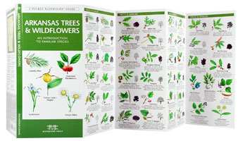 Arkansas Trees & Wildflowers Naturalist Guide