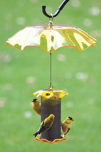 Forever 1 Qt Yellow Finch Feeder w/Weather Guard