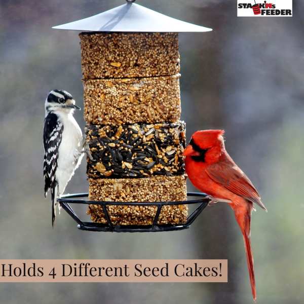 Stack'm Seed Cake Bird Feeder