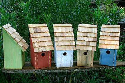 Bluebird Bunkhouse Bird House available in Blue, Green Apple, Natural, Redwood and White colors