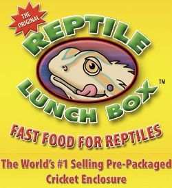 Reptile Cricket Lunch Box